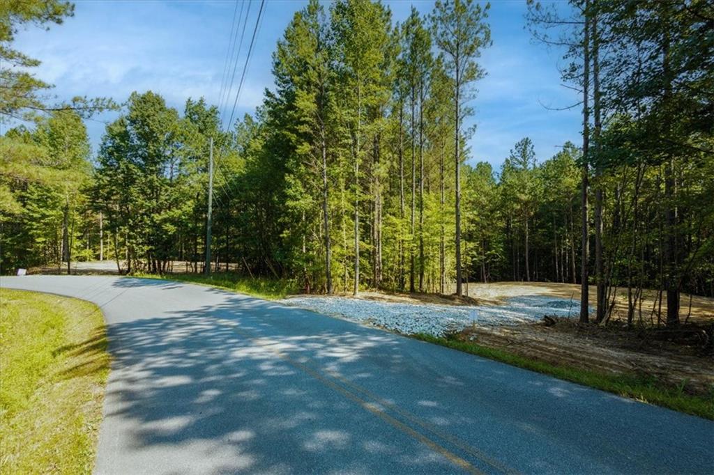 362 Pleasant Hill Road Buchanan, GA 30113 - Photo 48 of 59 Gallery Image 48