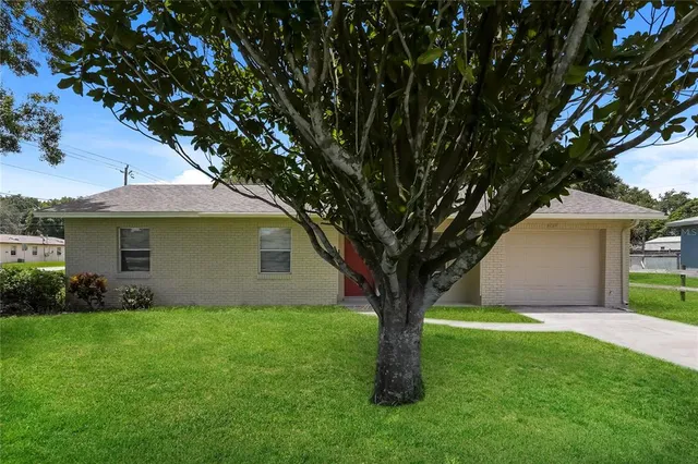 a view of a yard in front of a house with plants and large tree