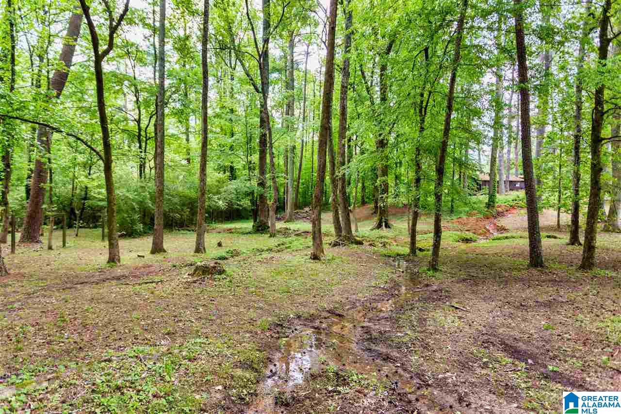 6601 Service Road Trussville, AL 35173 - Photo 19 of 19