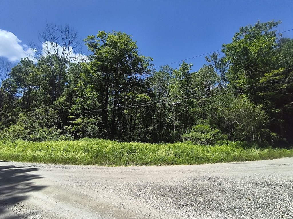 0 Brown Hill Road Worthington, MA 01098 - Photo 2 of 6