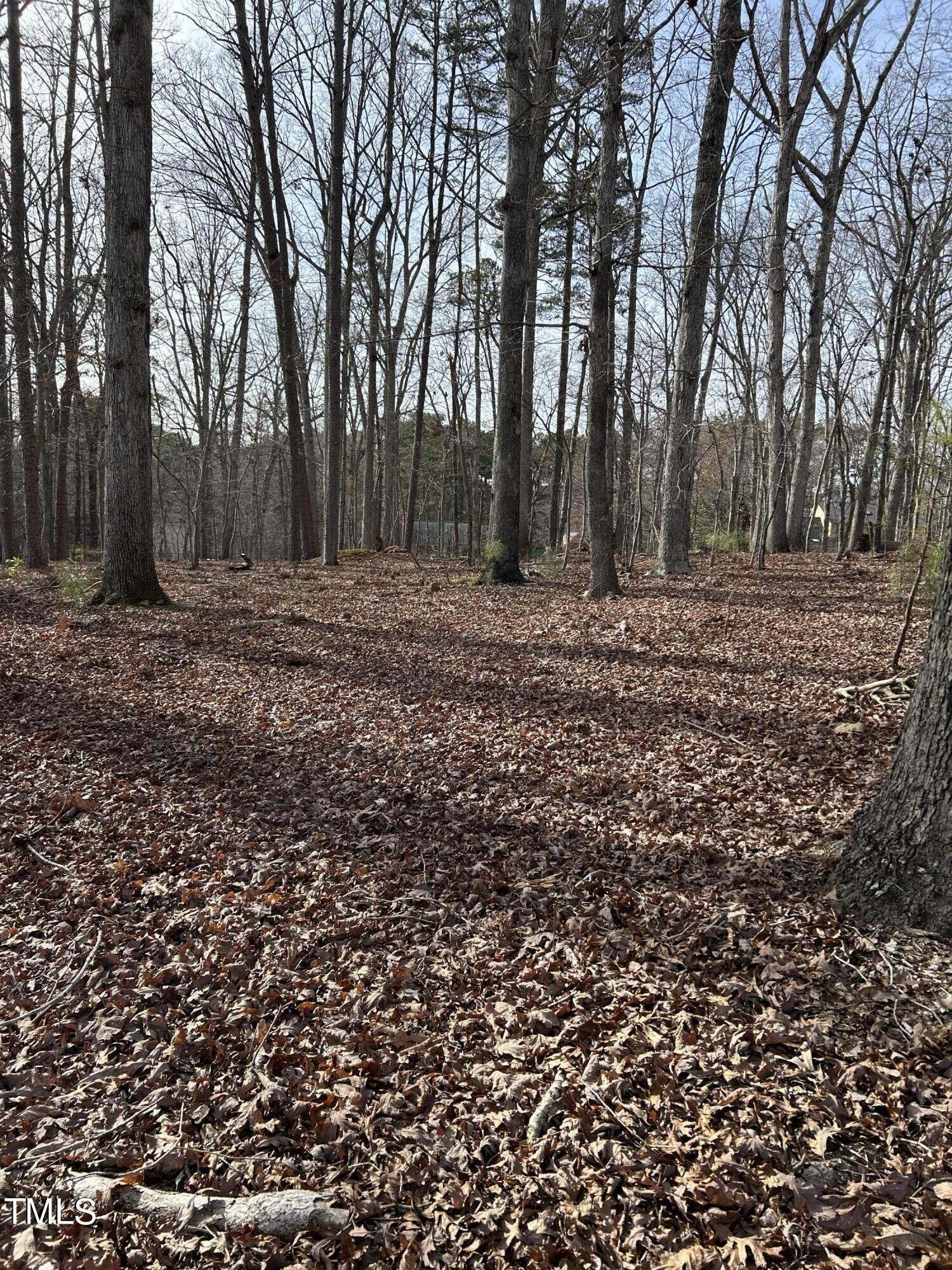 3526 Rose Of Sharon Road Durham, NC 27712 - Photo 11 of 11 a view of a backyard with large trees
