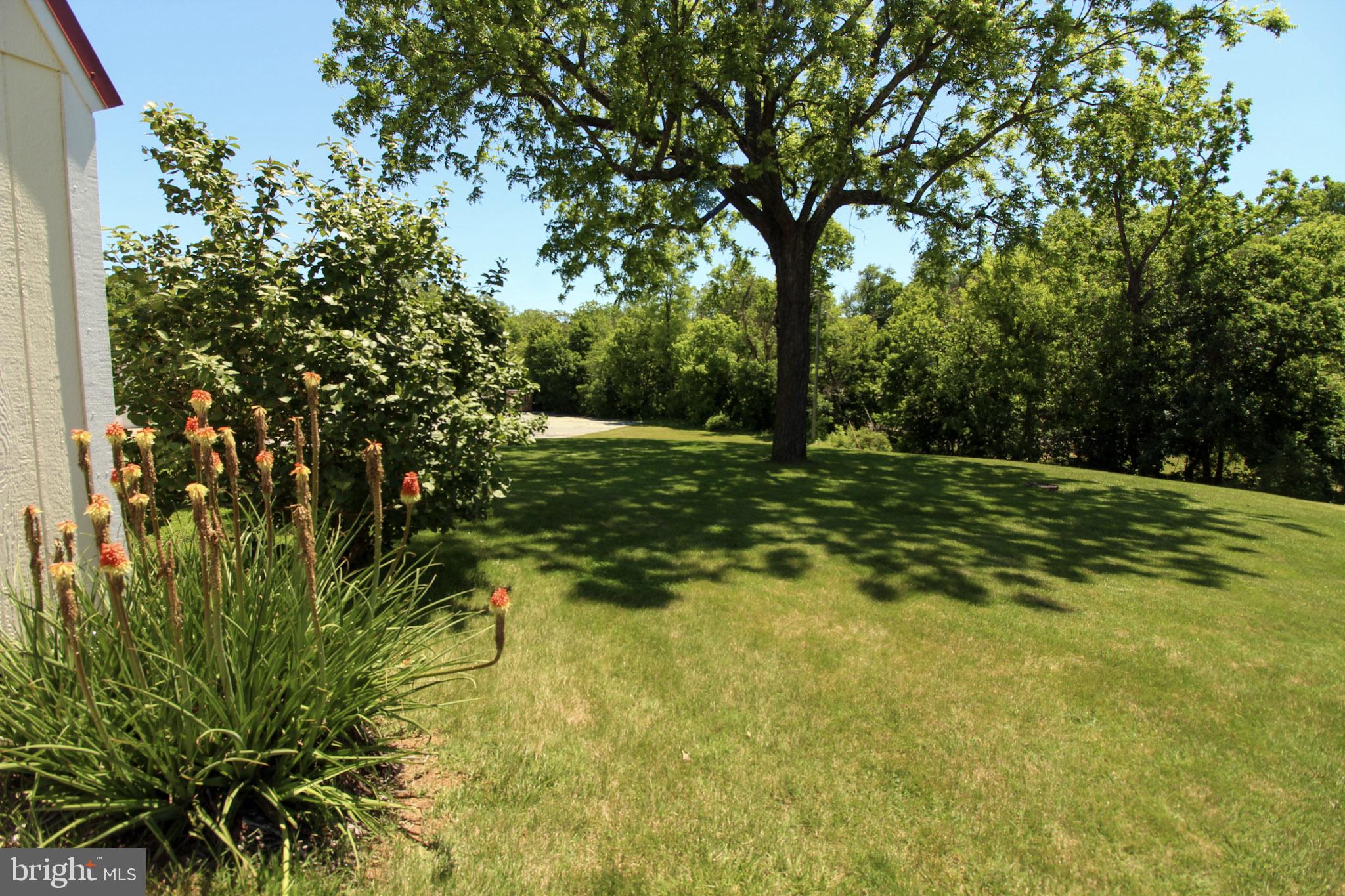 3356 South Main Street Toms Brook, VA 22660 - Photo 82 of 83