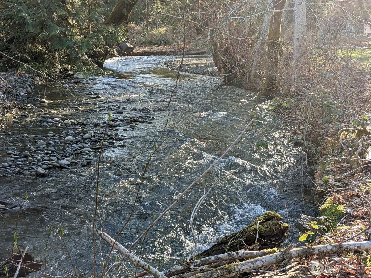 111 North Jorstad Creek Road Lilliwaup, WA 98555 - Photo 17 of 23 a view of a dry yard with trees