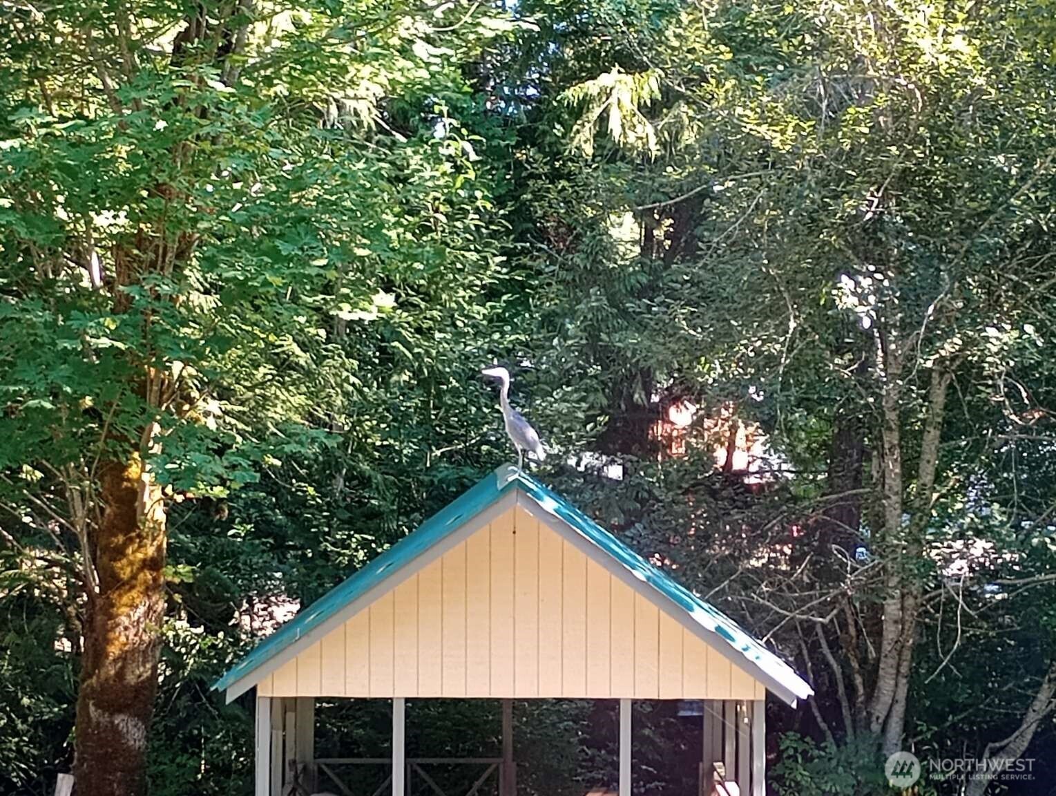 111 North Jorstad Creek Road Lilliwaup, WA 98555 - Photo 18 of 23 a view of backyard with green space