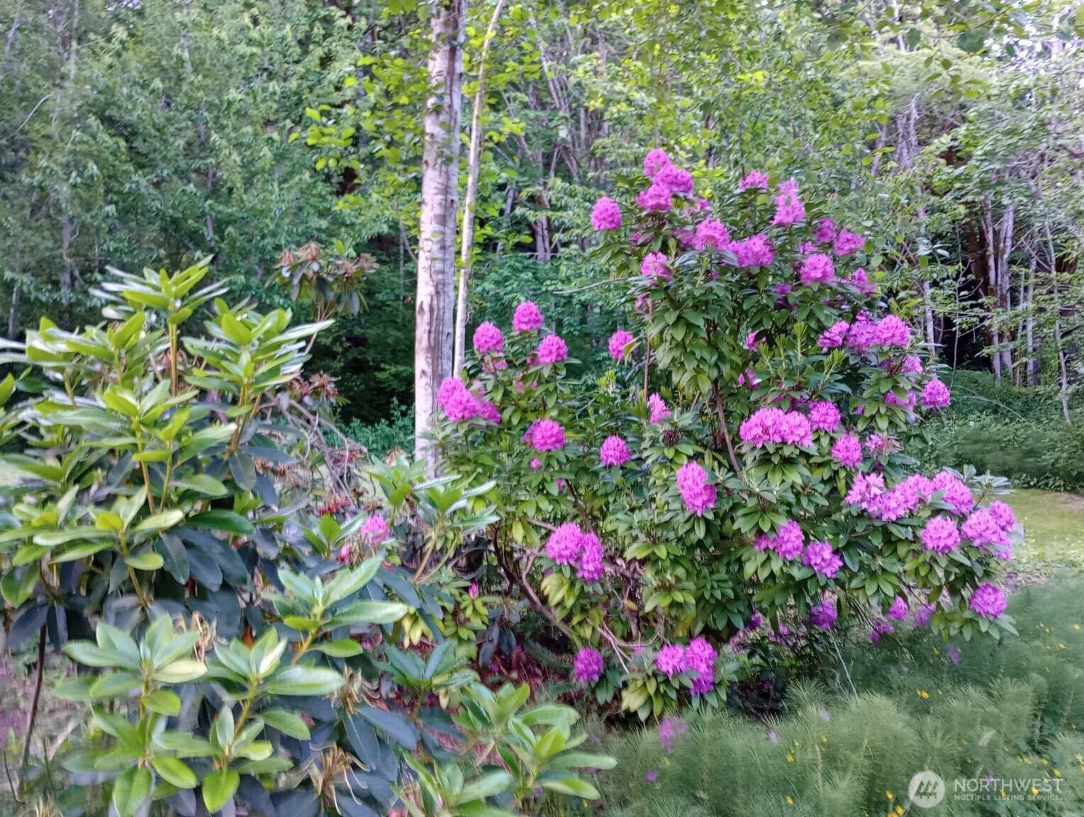 111 North Jorstad Creek Road Lilliwaup, WA 98555 - Photo 20 of 23 a view of a flower in a garden with statue