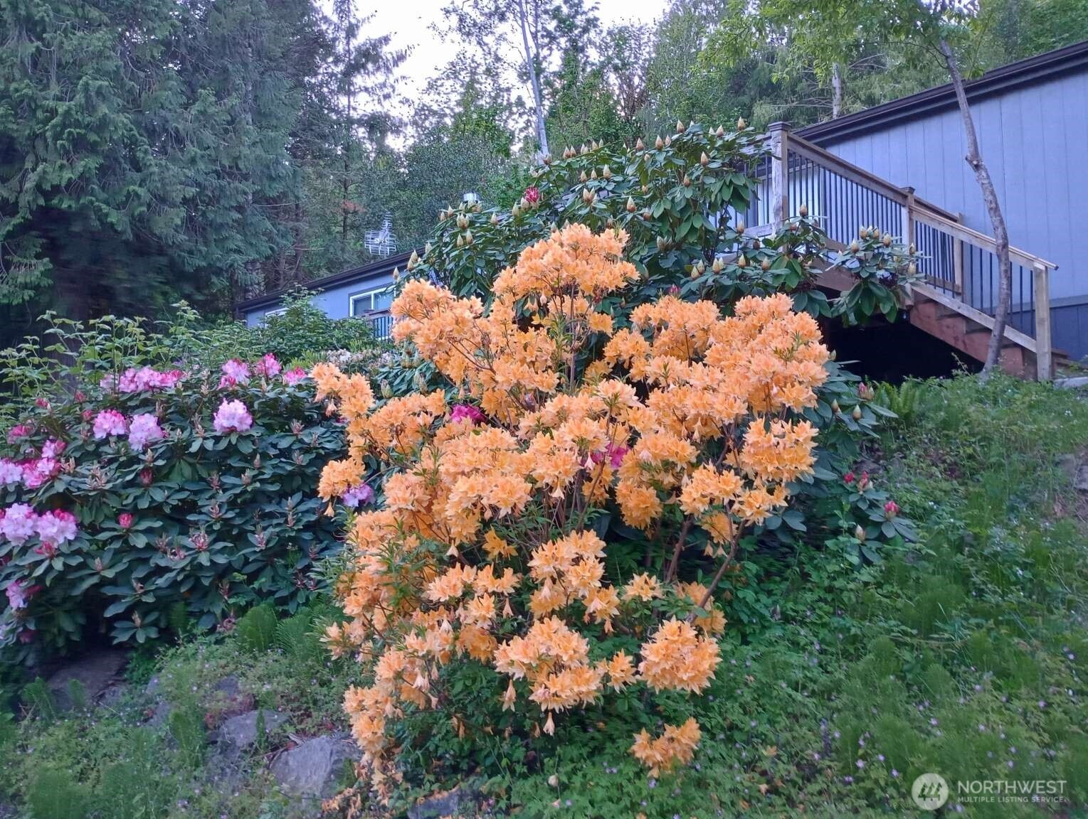 111 North Jorstad Creek Road Lilliwaup, WA 98555 - Photo 21 of 23 a picture of flowers