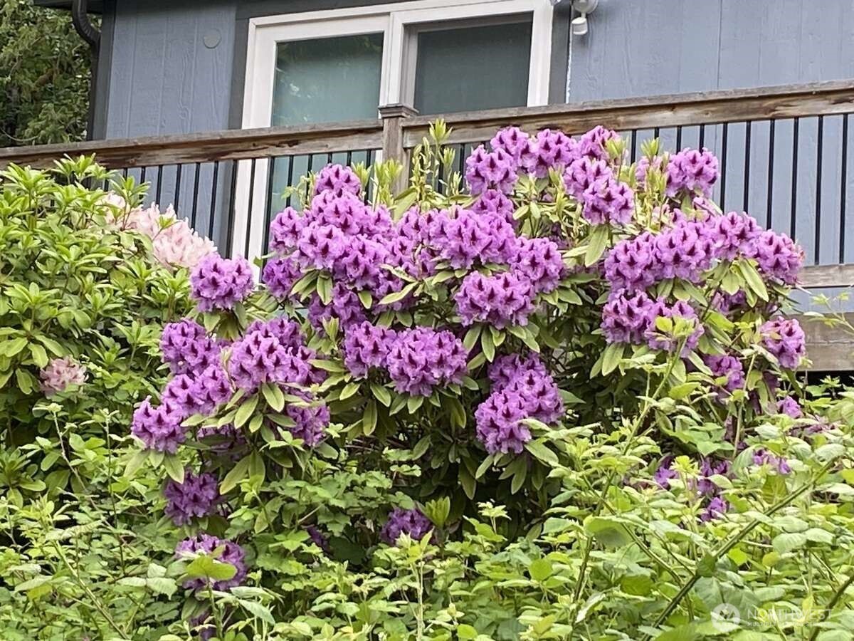 111 North Jorstad Creek Road Lilliwaup, WA 98555 - Photo 22 of 23 a street view with flowers and flowers