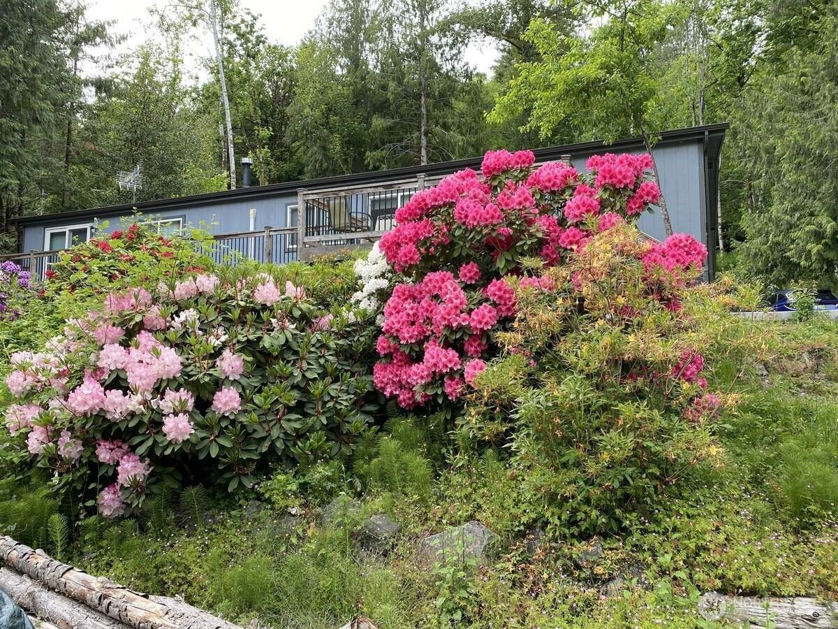 111 North Jorstad Creek Road Lilliwaup, WA 98555 - Photo 23 of 23 a view of a flower in a garden of a yard