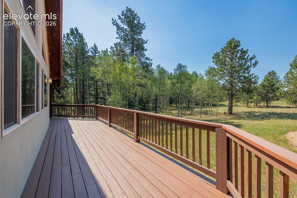 392 Aspen Village Road Divide, CO 80814 - Photo 5 of 43