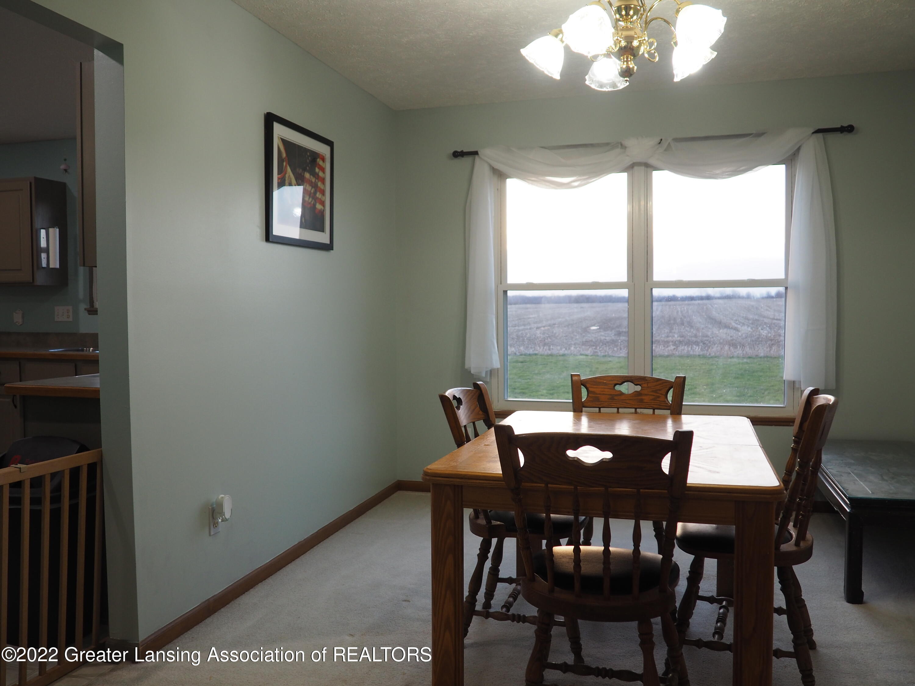 2334 North Wheaton Road Charlotte, MI 48813 - Photo 9 of 13 P4113182