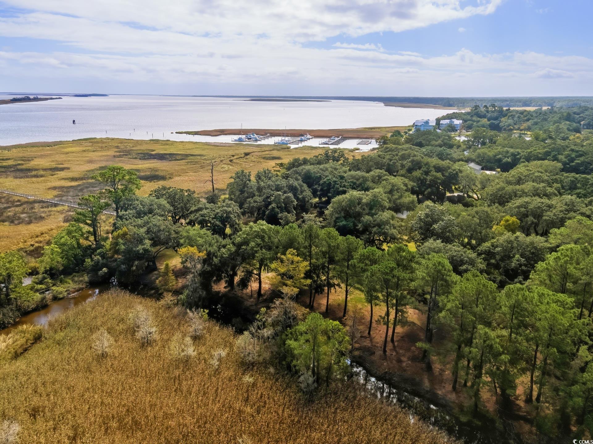Lot 5 Whitehall Avenue Georgetown, SC 29440 - Photo 14 of 20