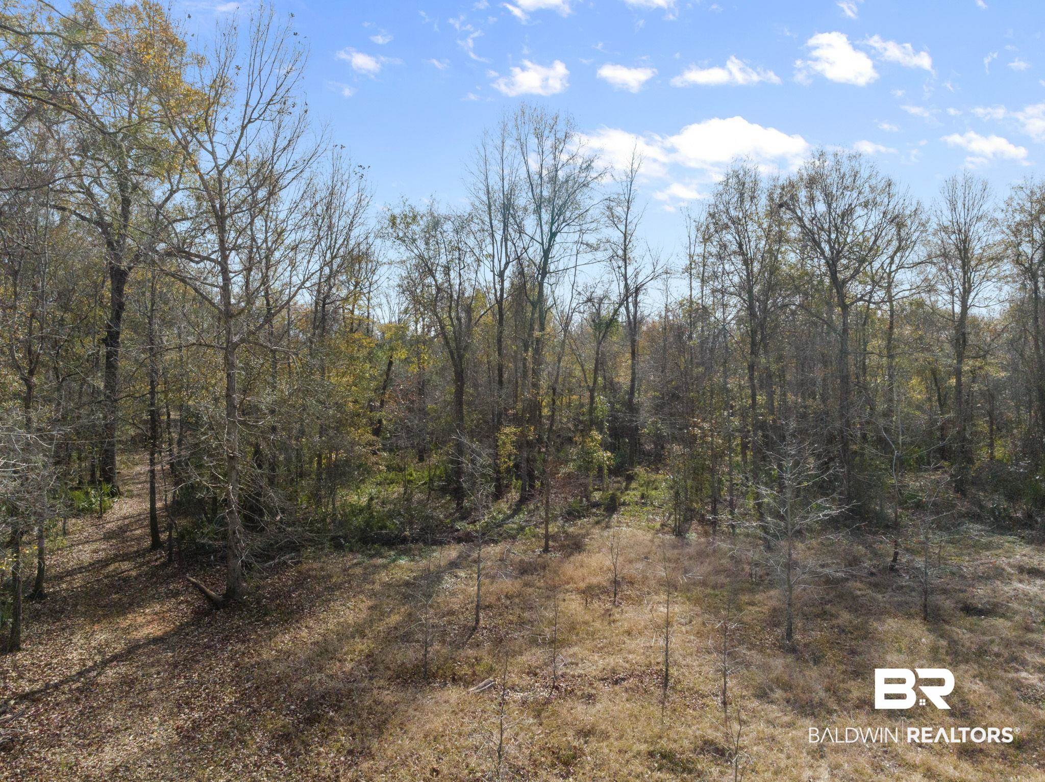 0 Bryant's Lndg Road Stockton, AL 36579 - Photo 28 of 29