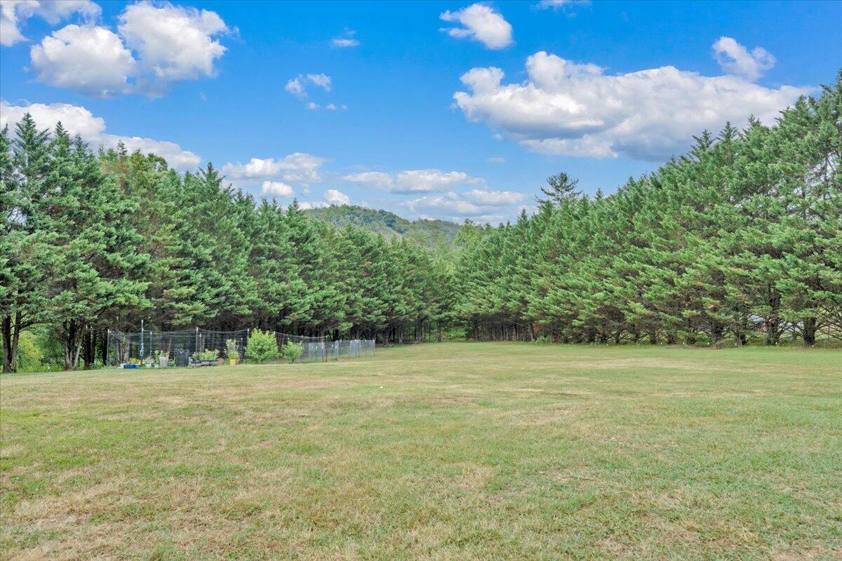 811 Ball Park Road Eagle Rock, VA 24085 - Photo 40 of 51 44-MIB05020