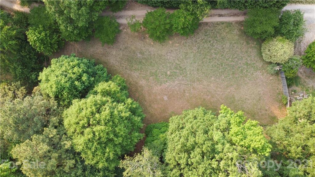 0 Holbrook Road, Unit 159 Fort Mill, SC 29715 - Photo 3 of 9 a plant with lots of green space