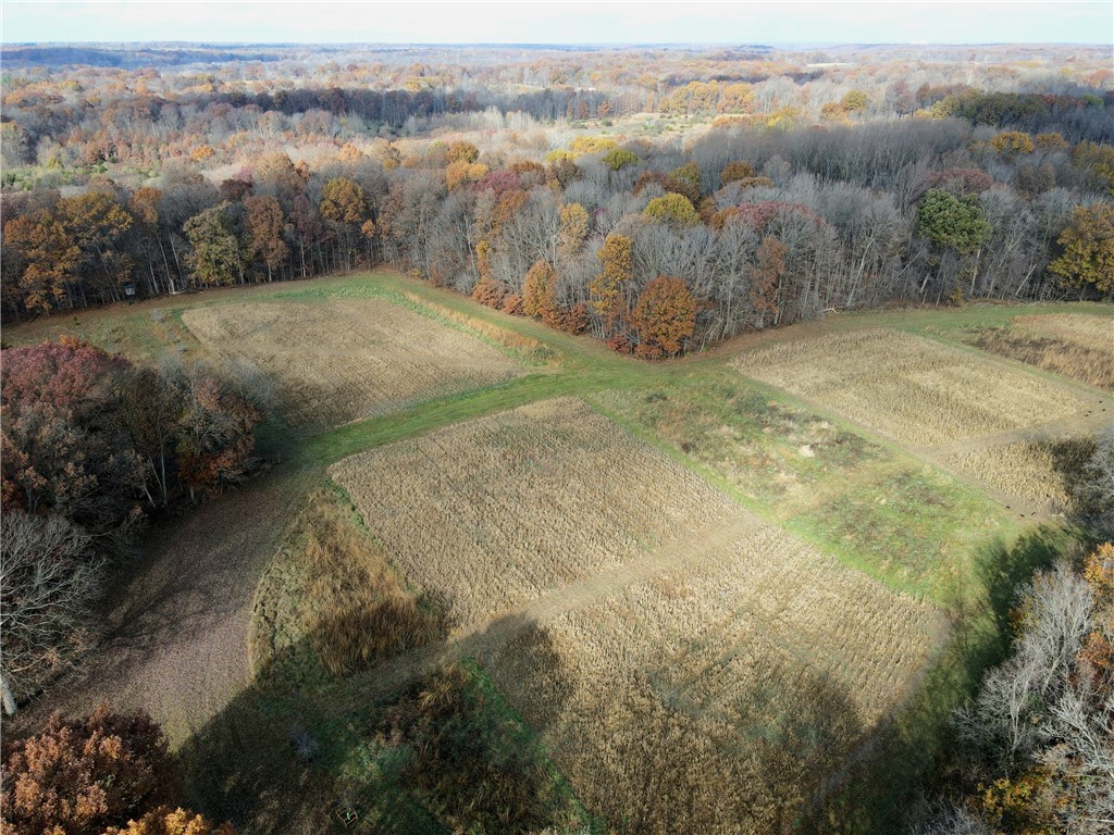 1100 N Road Danville, IL 61834 - Photo 20 of 20
