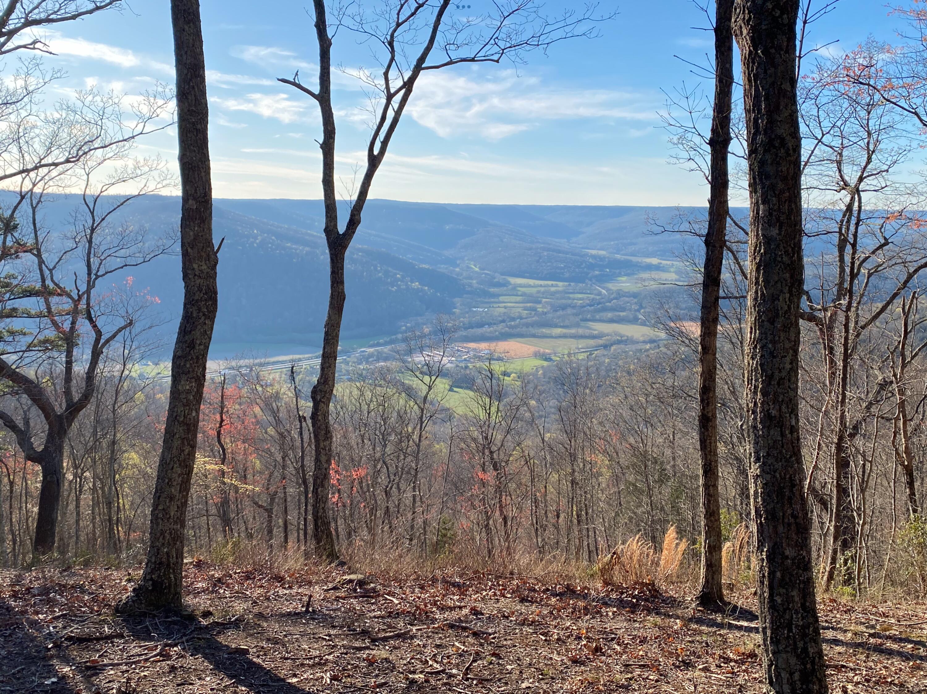 325 Waterwheel Way, Unit JF331 Jasper, TN 37347 - Photo 21 of 23 IMG_7313