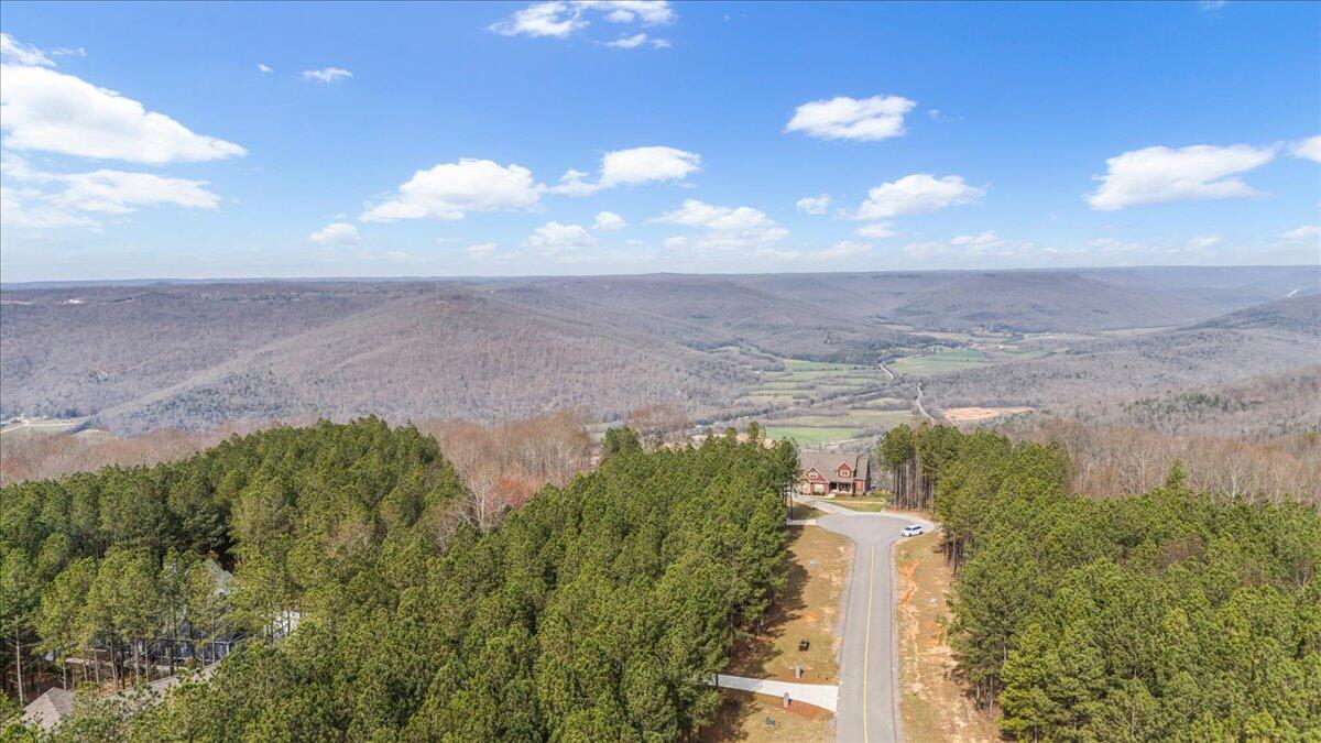 325 Waterwheel Way, Unit JF331 Jasper, TN 37347 - Photo 7 of 23 04-DJI_20250319100614_0106_D