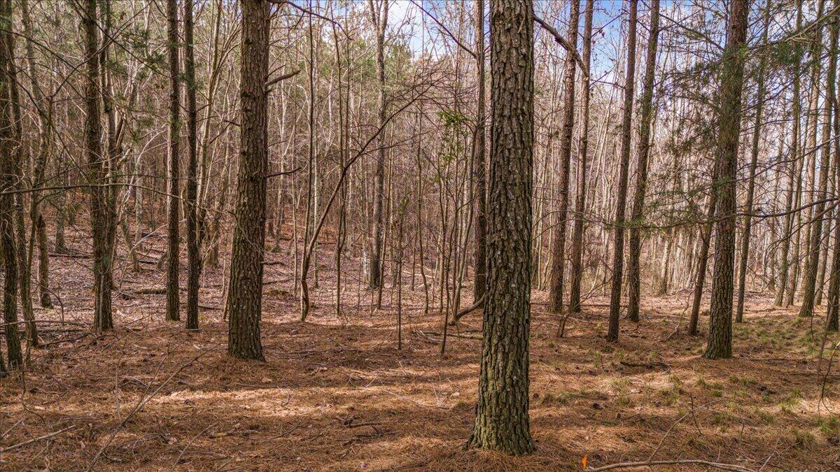 325 Waterwheel Way, Unit JF331 Jasper, TN 37347 - Photo 8 of 23 05-DJI_20250319100518_0103_D