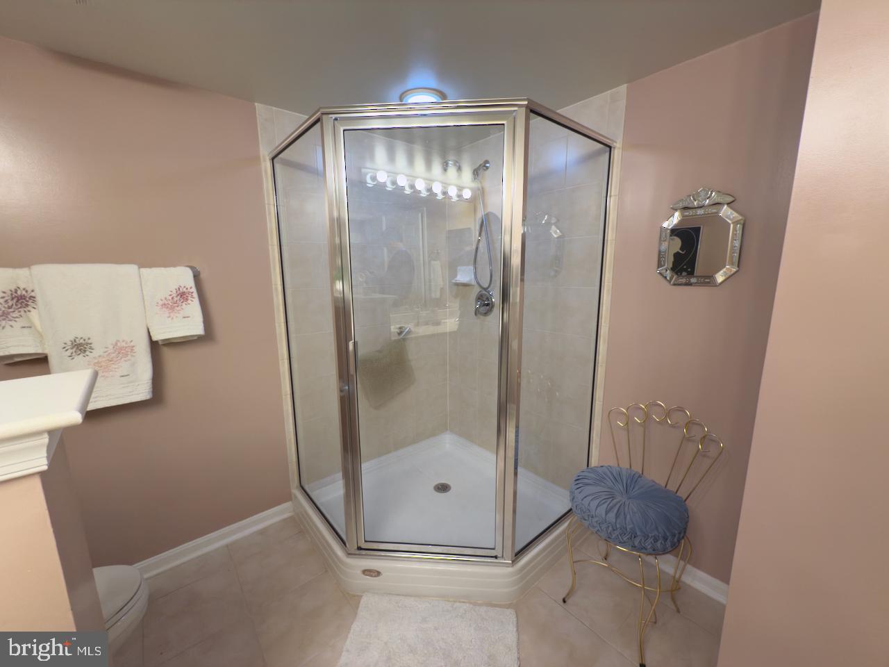 12251 Roundwood Road, Unit 601 Lutherville-Timonium, MD 21093 - Photo 31 of 41 Primary bathroom