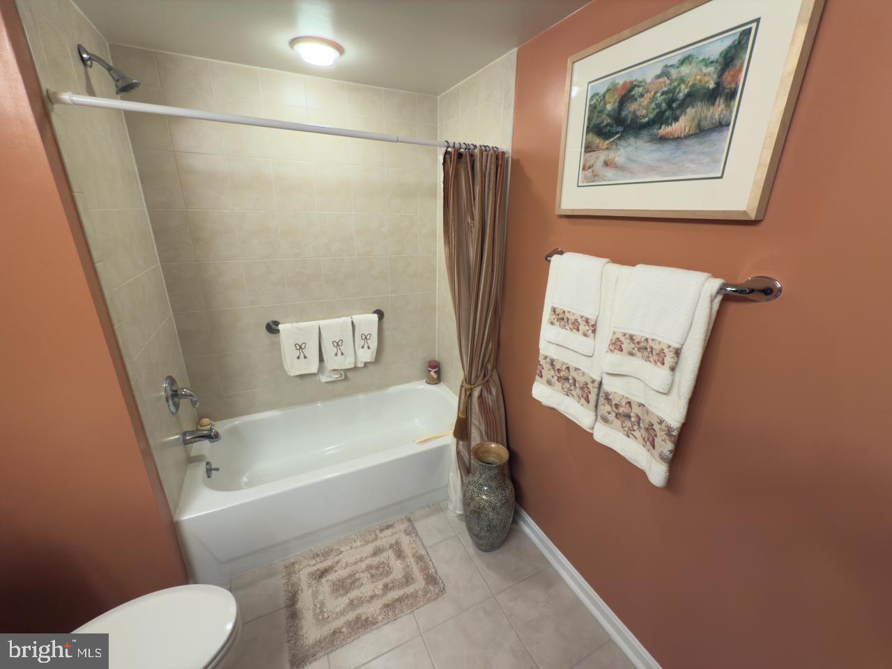 12251 Roundwood Road, Unit 601 Lutherville-Timonium, MD 21093 - Photo 36 of 41 Hall bath view 2