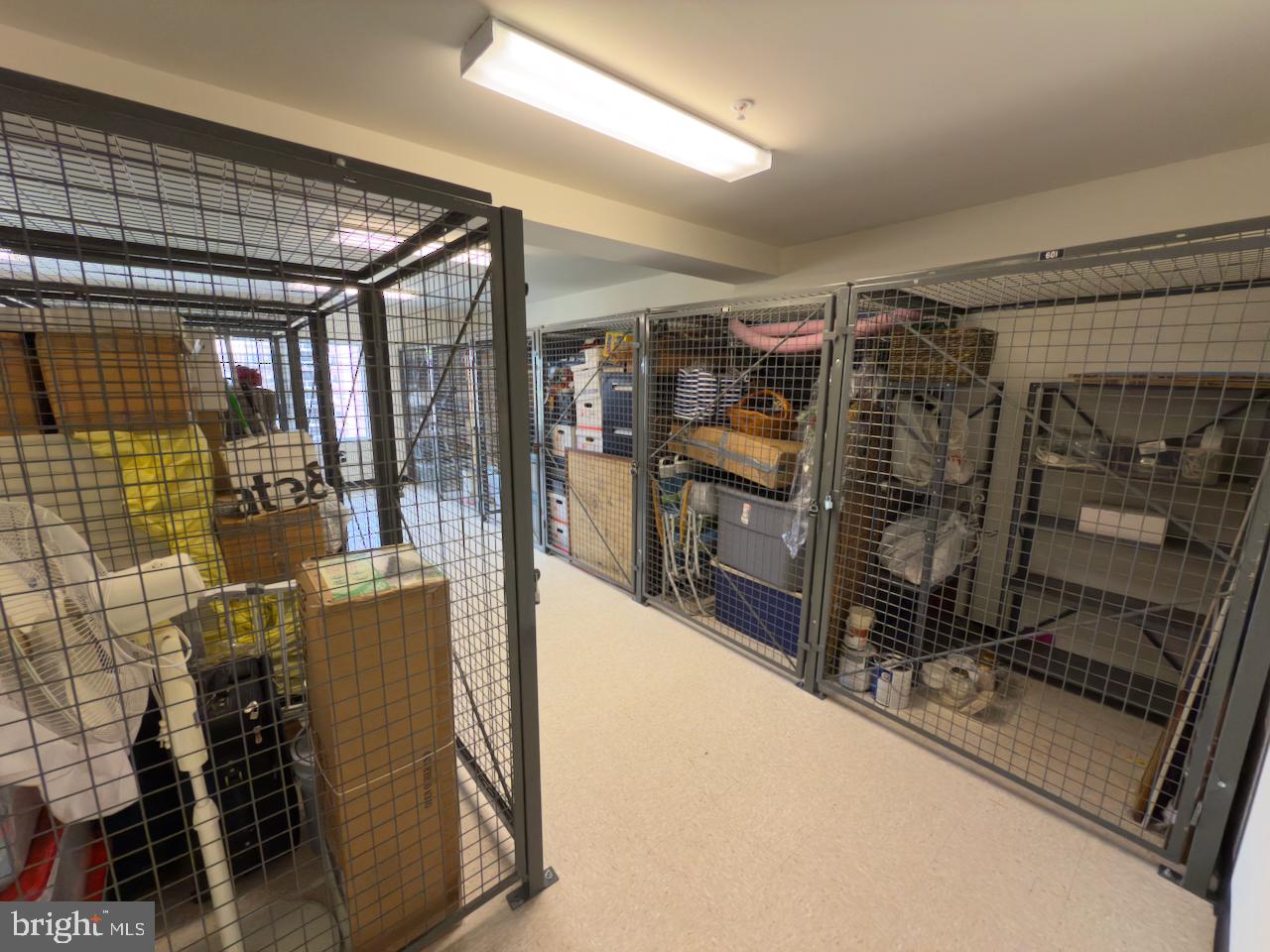 12251 Roundwood Road, Unit 601 Lutherville-Timonium, MD 21093 - Photo 41 of 41 Open and well lighted storage area view 3