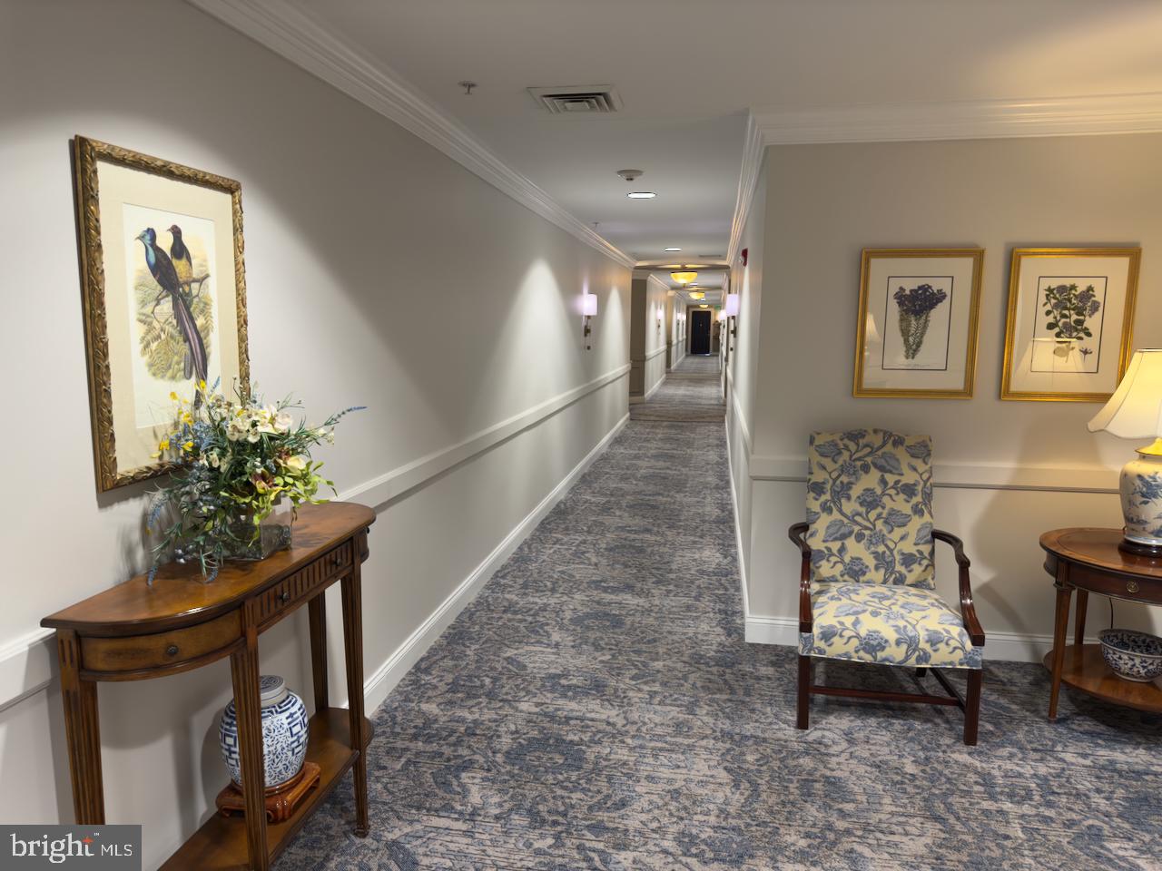 12251 Roundwood Road, Unit 601 Lutherville-Timonium, MD 21093 - Photo 6 of 41 Neatly manicured hallways