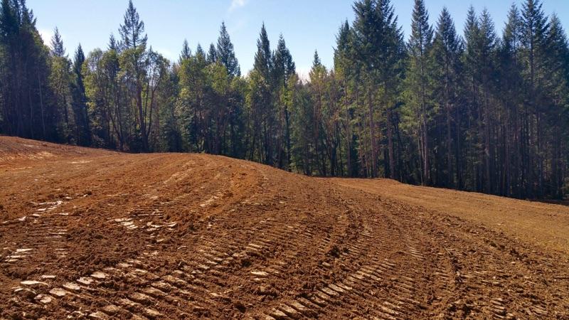 40-acres 40-acres Ruth Dam Road Mad River, CA 95552 - Photo 3 of 6 Gallery Image 3