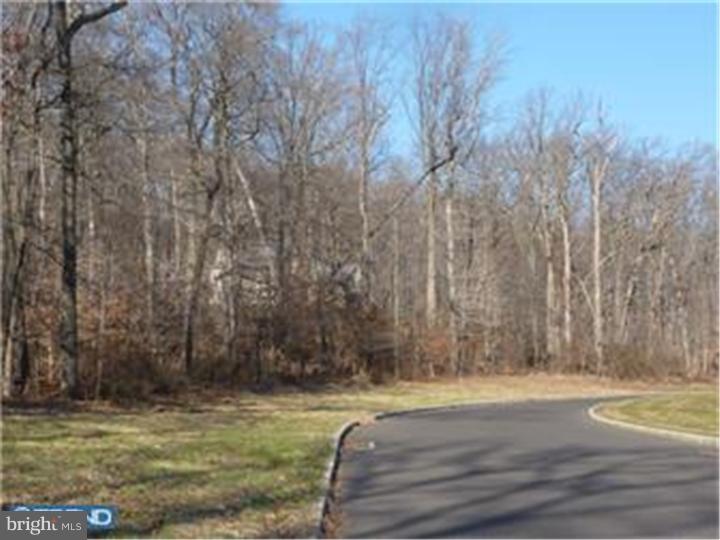 12 Great Hills Road New Hope, PA 18938 - Photo 1 of 10