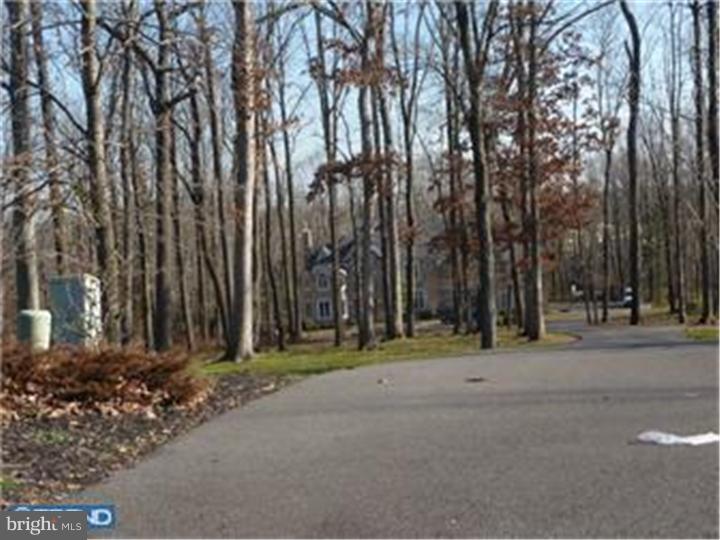 12 Great Hills Road New Hope, PA 18938 - Photo 2 of 10