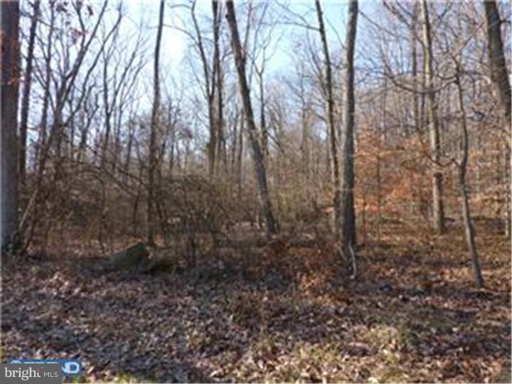 12 Great Hills Road New Hope, PA 18938 - Photo 7 of 10