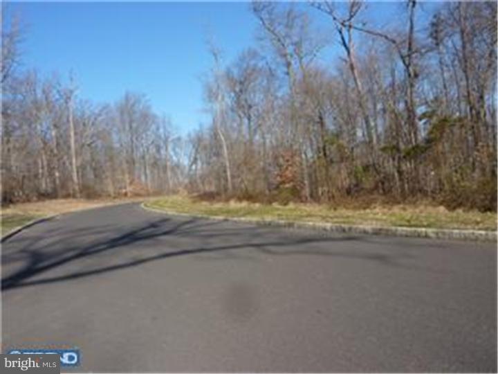 12 Great Hills Road New Hope, PA 18938 - Photo 10 of 10