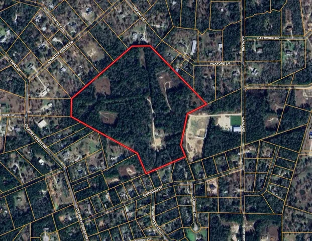 a picture of a tree in a buildings