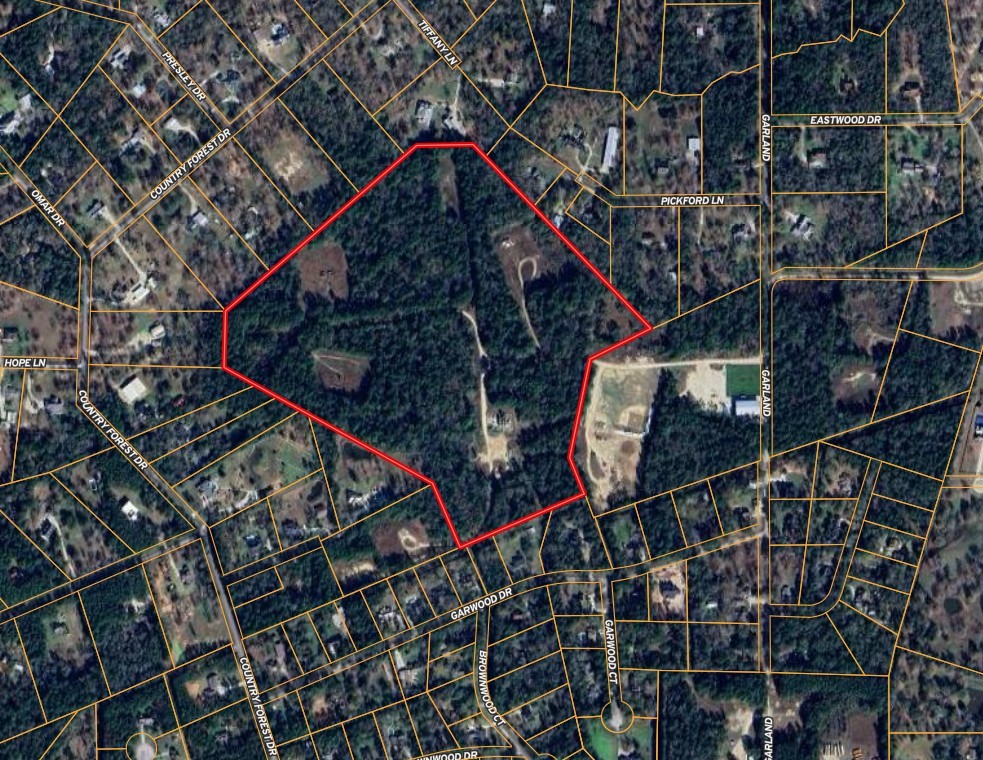 a picture of a tree in a buildings