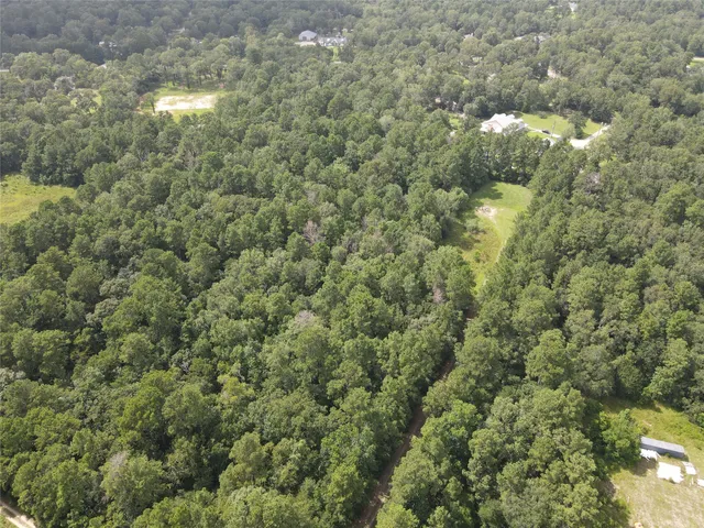 a view of a forest with a houses