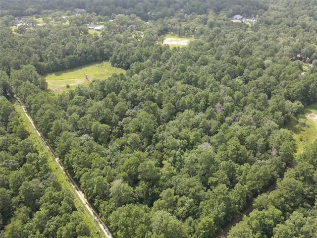 a view of a yard with a trees