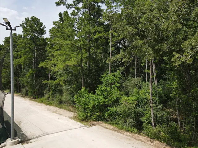 an aerial view of houses covered in trees