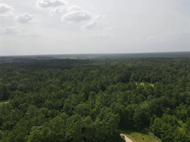 an aerial view of residential house and trees