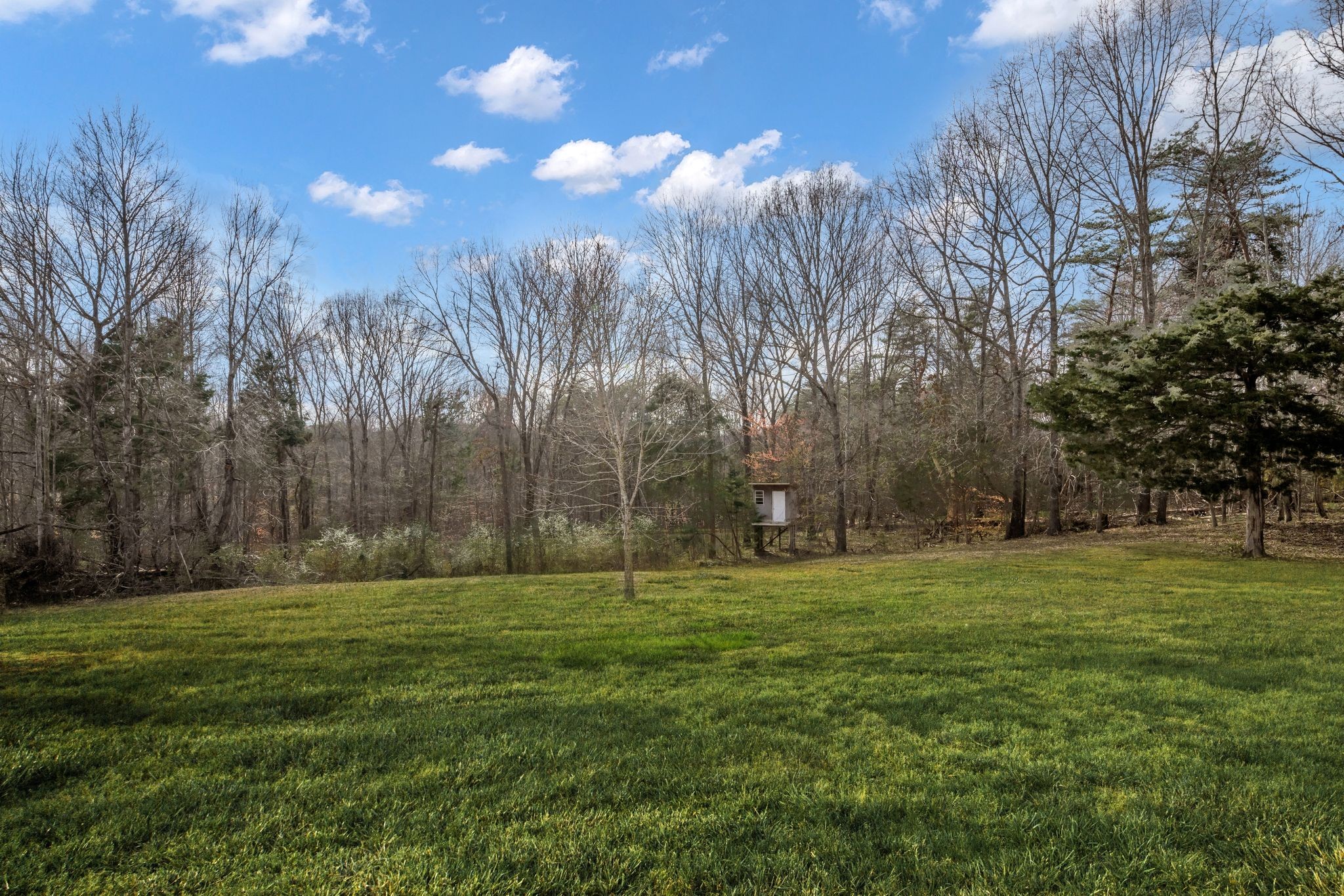 1958 Spencer Mill Road Burns, TN 37029 - Photo 36 of 38 a backyard of apartments with trees