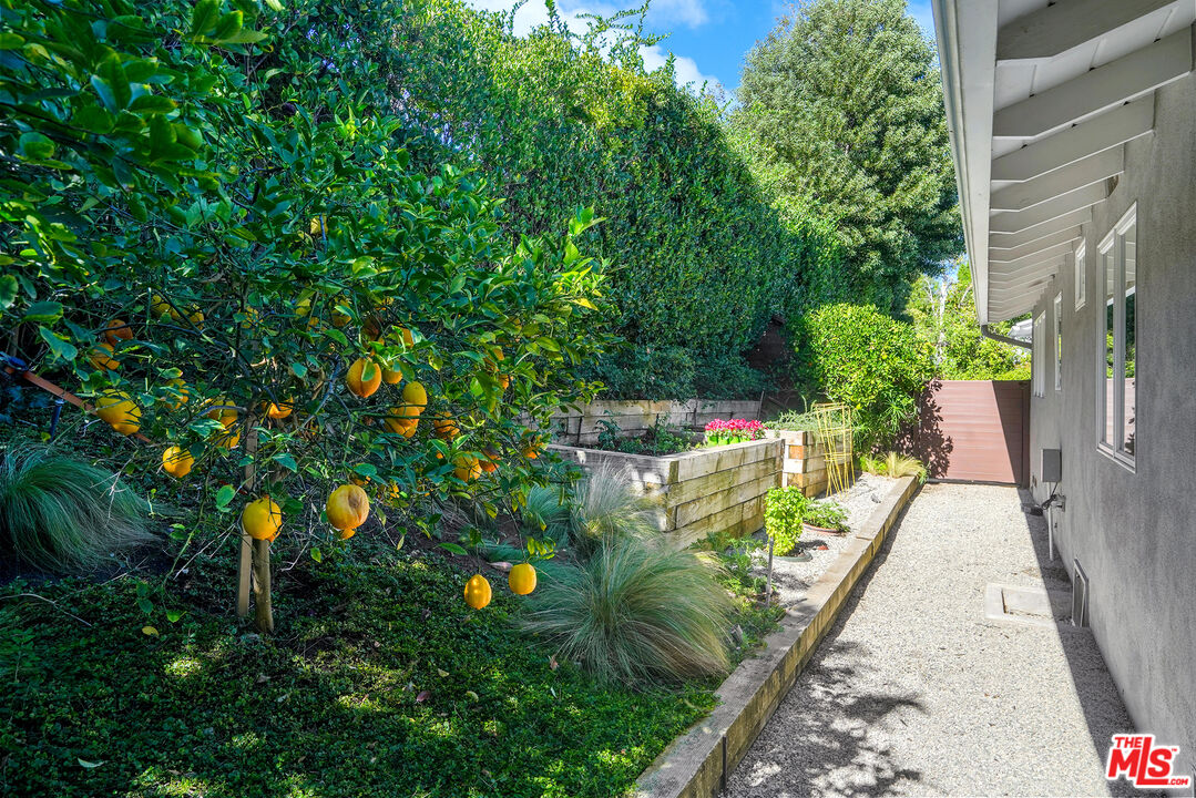 16722 Adlon Road Encino, CA 91436 - Photo 33 of 36 a backyard of a house with lots of green space