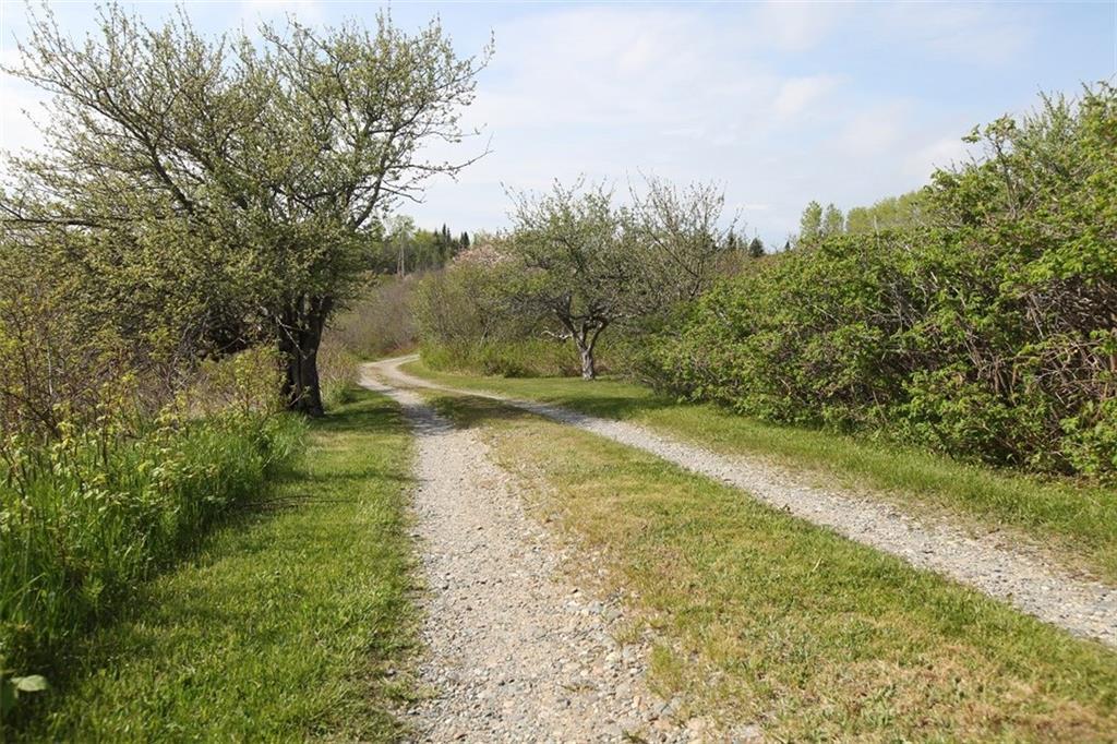 831 Cutler Road Machiasport, ME 04655 - Photo 31 of 35 Driveway off the main road leading...