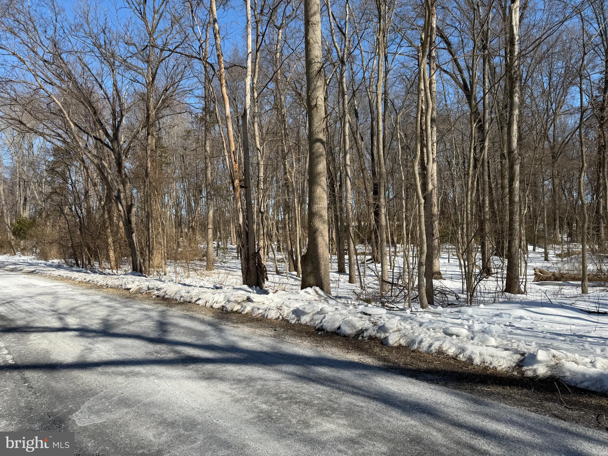 1-acre Elmer School Road Dickerson, MD 20842 - Photo 11 of 28