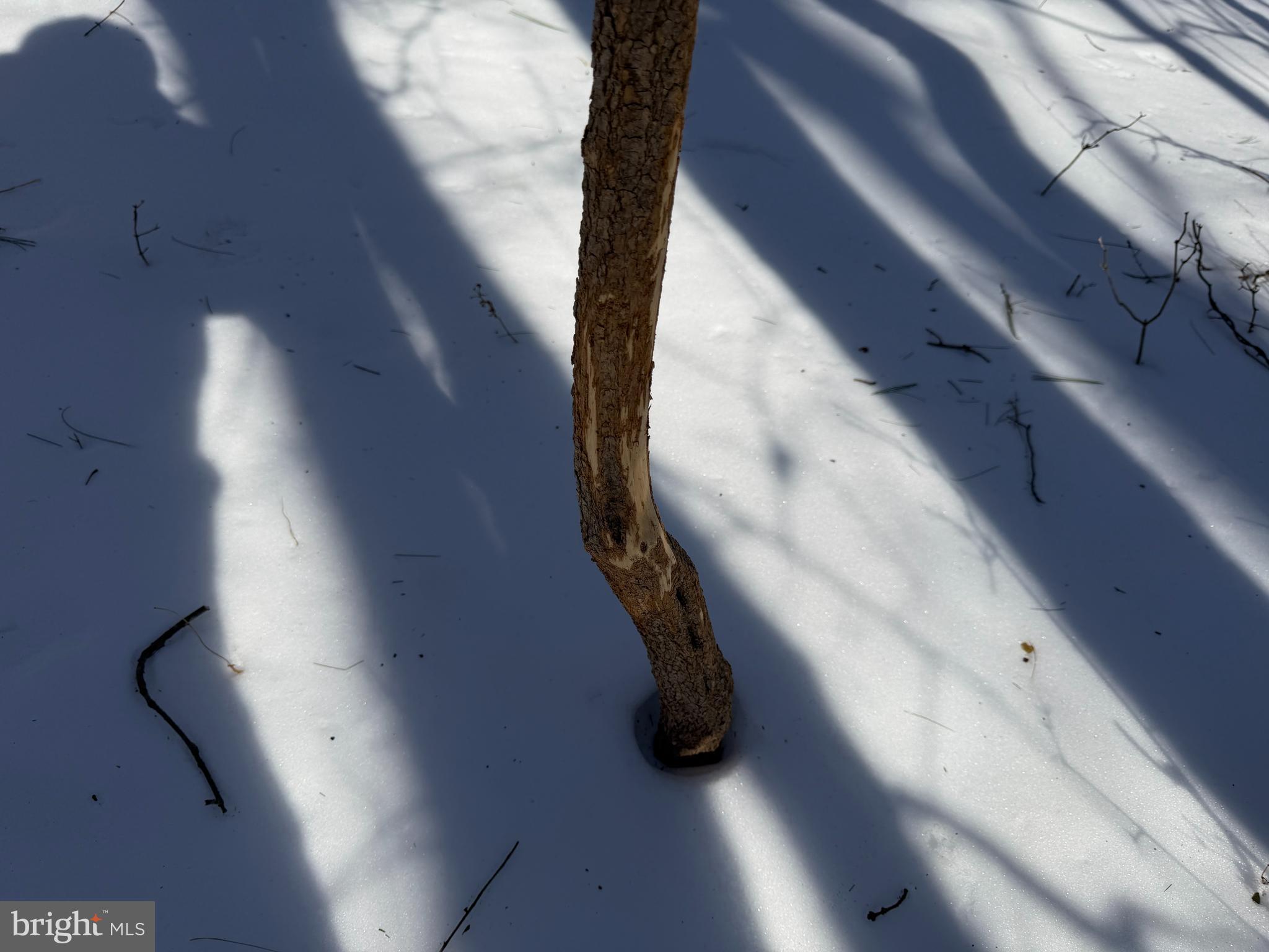 1-acre Elmer School Road Dickerson, MD 20842 - Photo 12 of 28