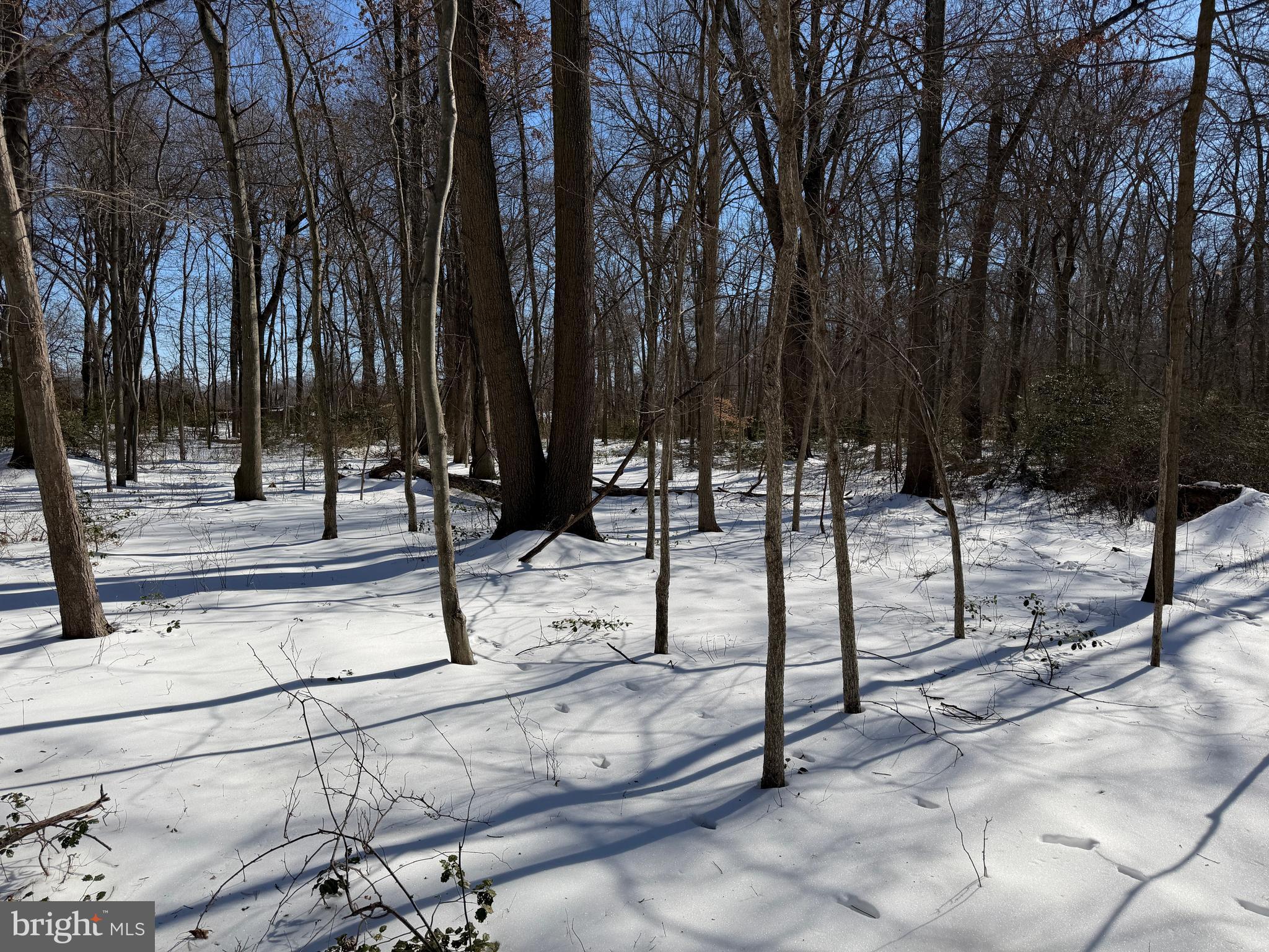 1-acre Elmer School Road Dickerson, MD 20842 - Photo 15 of 28