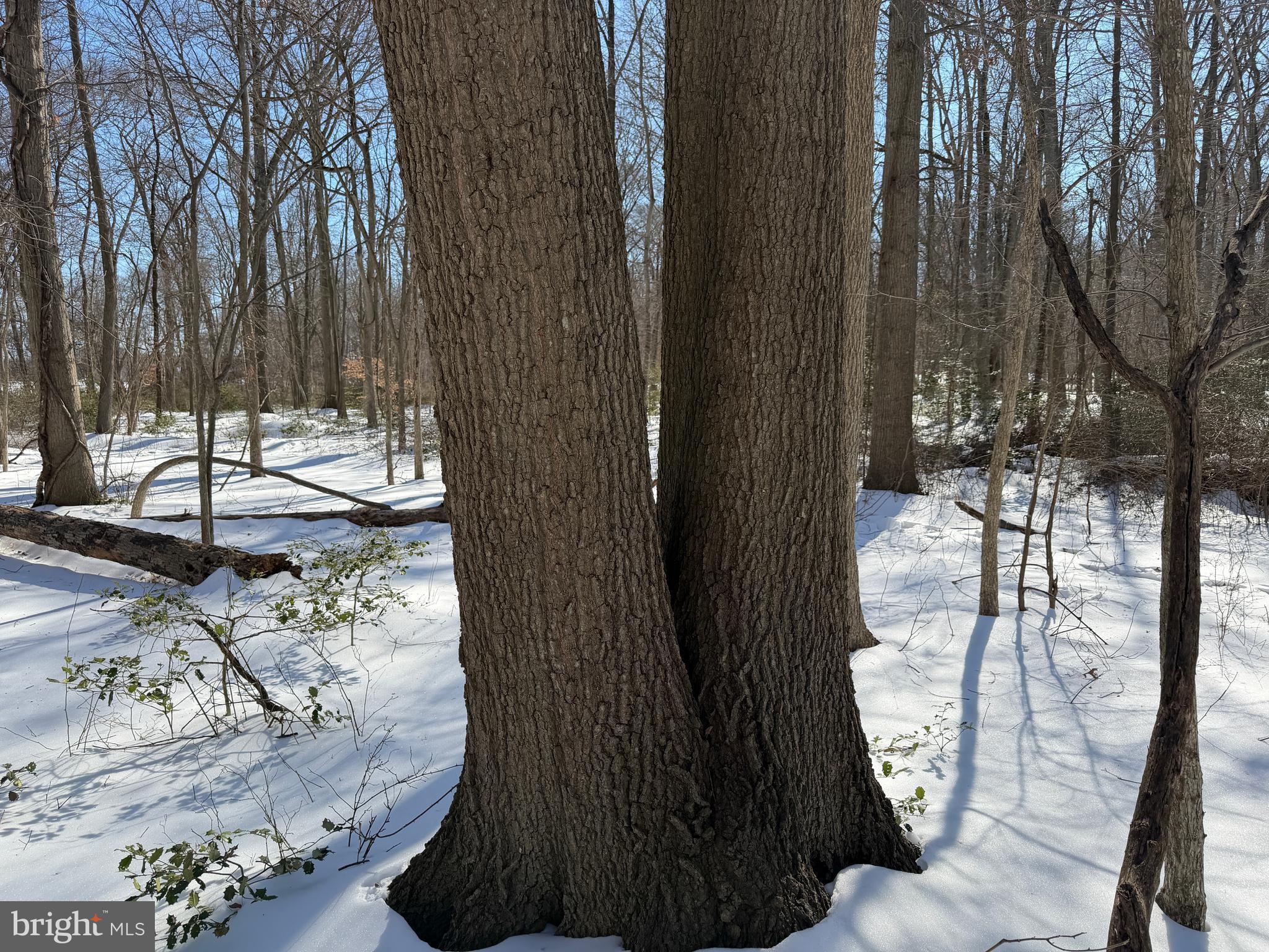 1-acre Elmer School Road Dickerson, MD 20842 - Photo 16 of 28