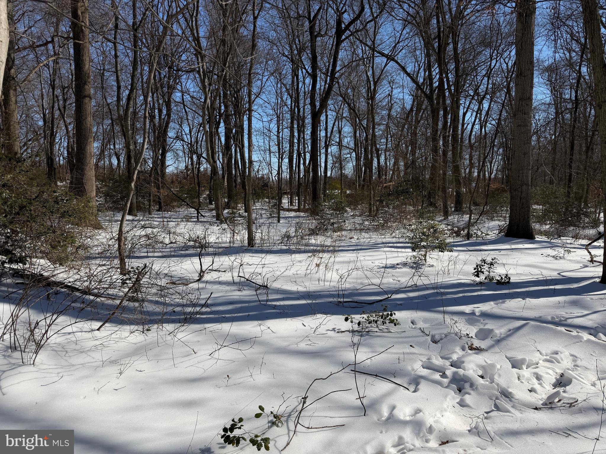 1-acre Elmer School Road Dickerson, MD 20842 - Photo 18 of 28