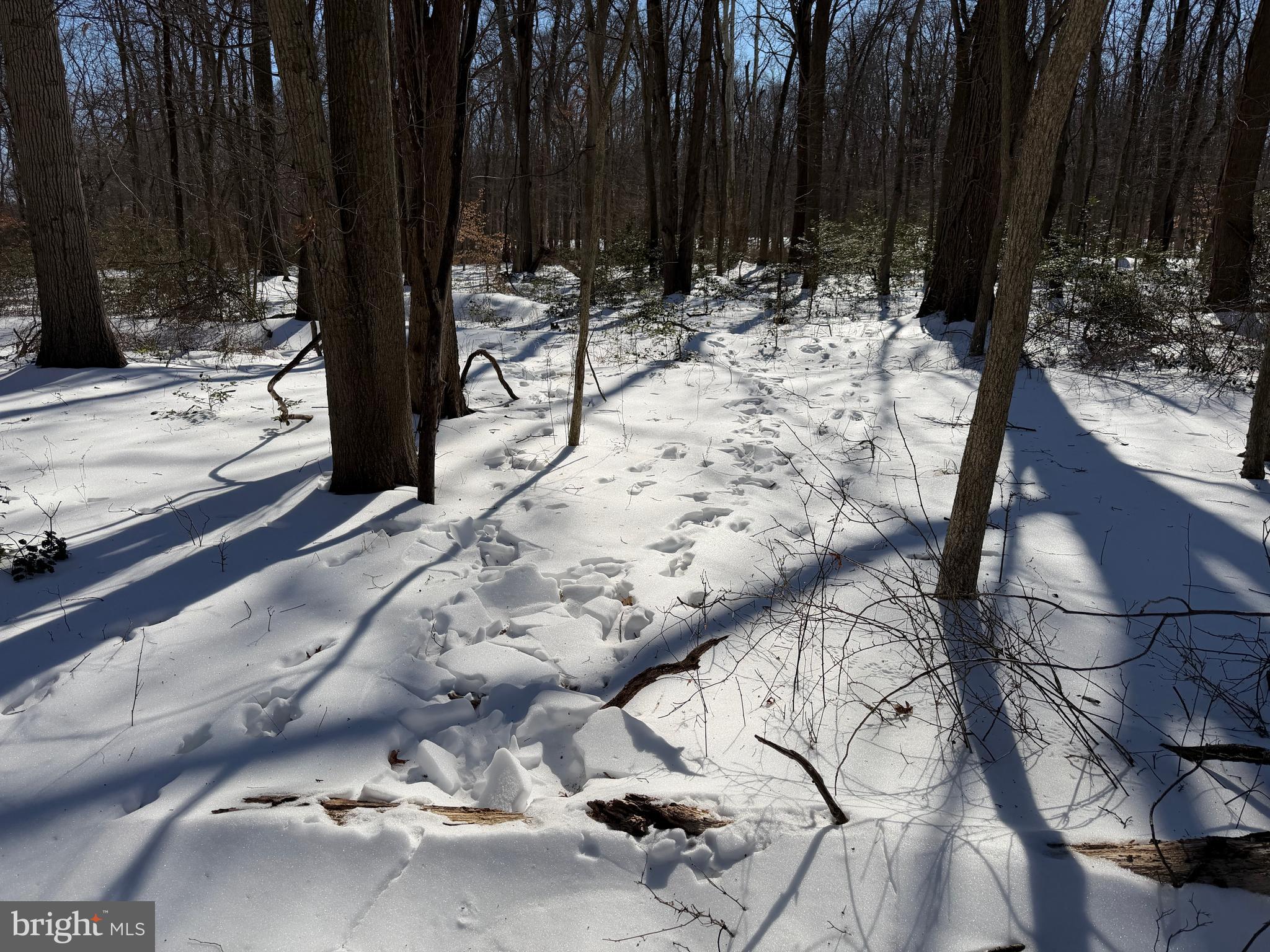 1-acre Elmer School Road Dickerson, MD 20842 - Photo 19 of 28