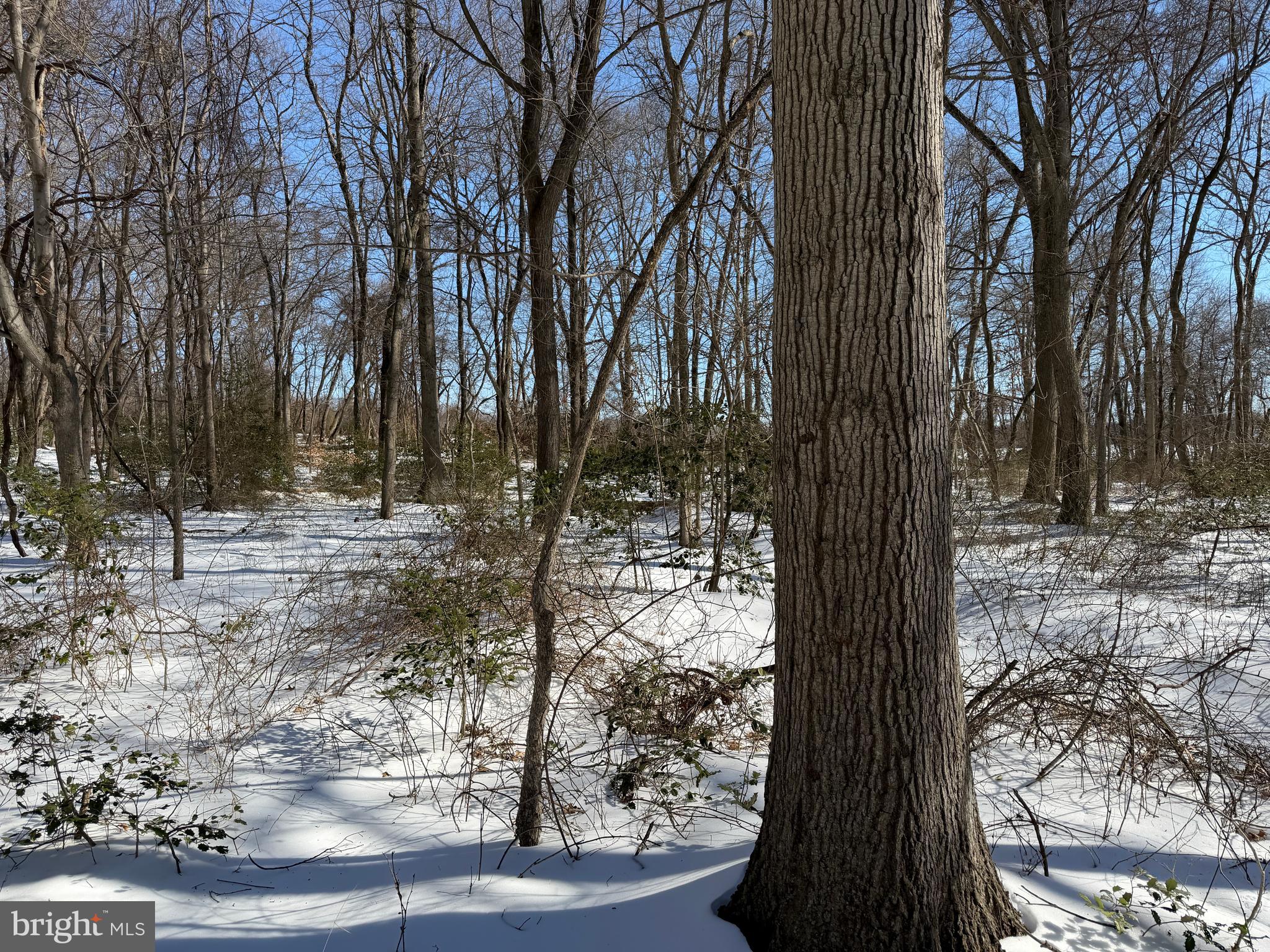 1-acre Elmer School Road Dickerson, MD 20842 - Photo 20 of 28