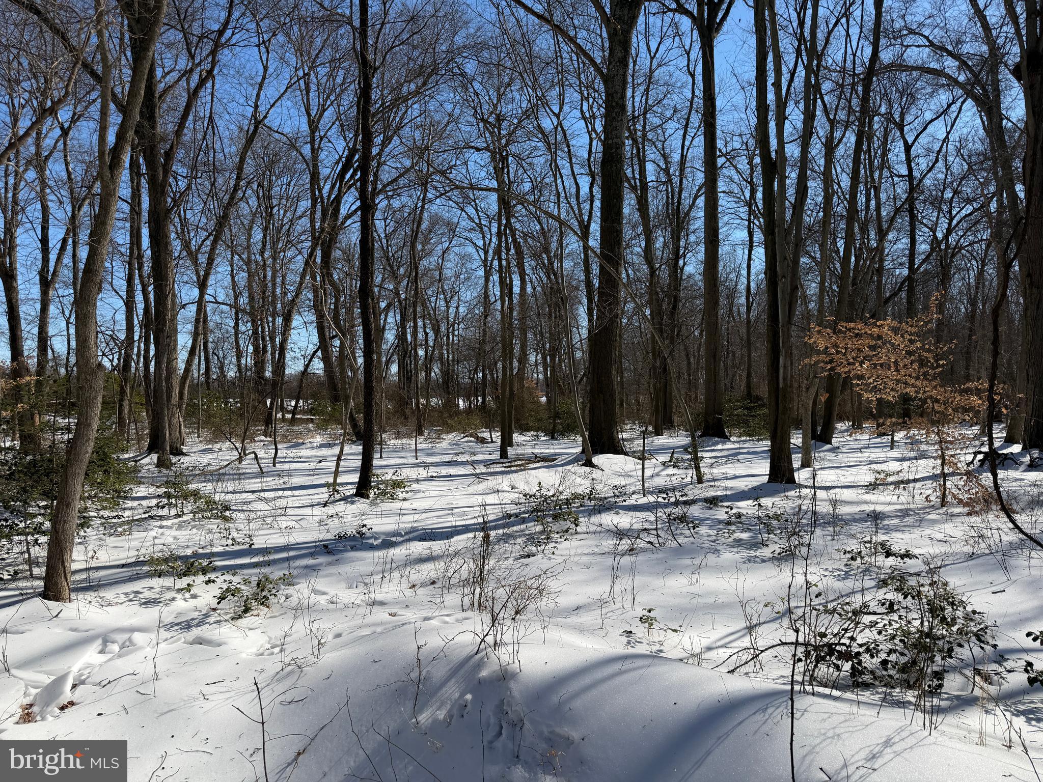 1-acre Elmer School Road Dickerson, MD 20842 - Photo 22 of 28