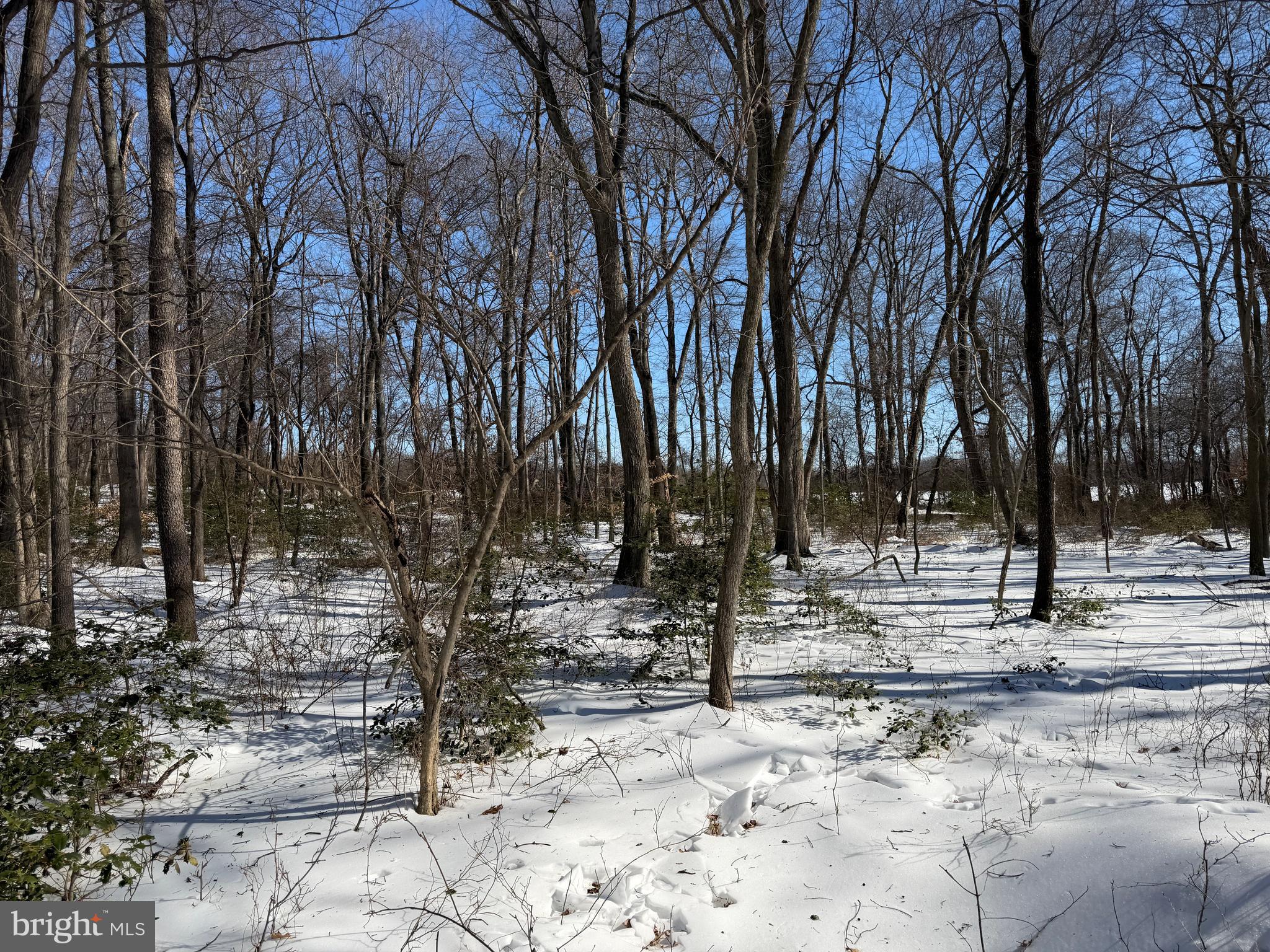 1-acre Elmer School Road Dickerson, MD 20842 - Photo 23 of 28