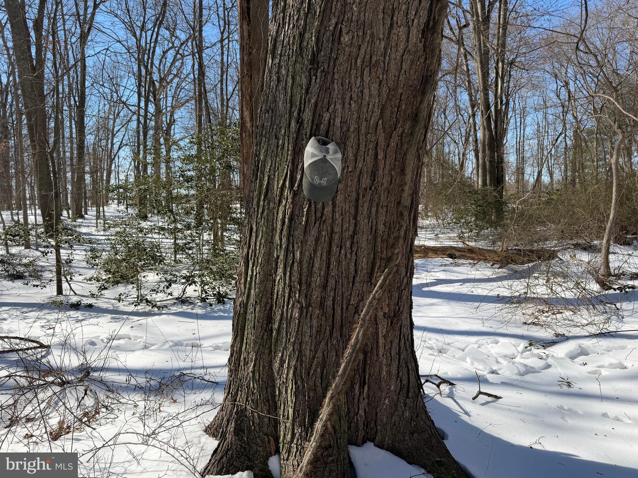 1-acre Elmer School Road Dickerson, MD 20842 - Photo 24 of 28